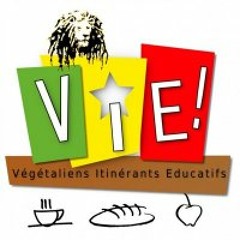 Bruno Camionette Verte