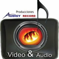 PRODUCCIONESAUDIGYRECORD