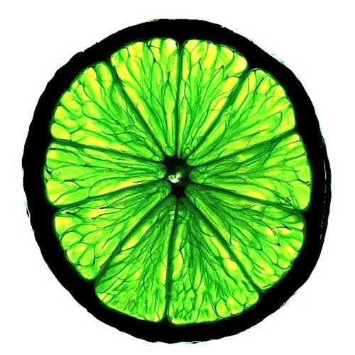 KMO — artist photo