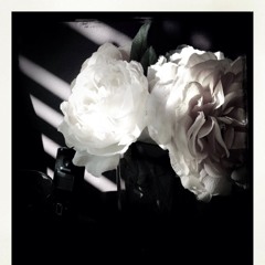 The John Rain Decline