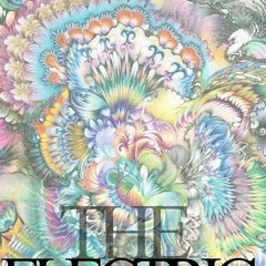 The Electric Moccasins