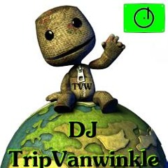 DJ TripVanwinkle