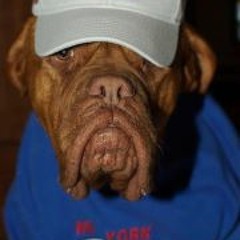 Iam Hiroko Transformed