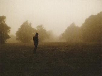 Woods of Desolation
