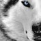 Siberian Soundtracks