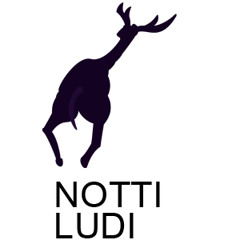 Nottiludi