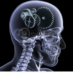 psiconeurociencia toxica