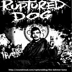 ruptureddog
