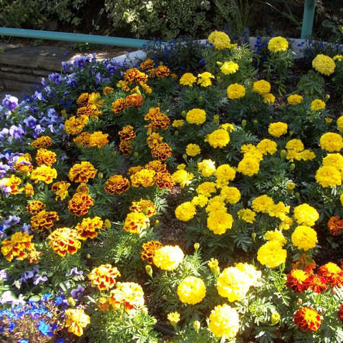 James 3.6 Instrumental