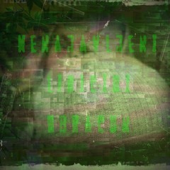 Dro0ps - Pusim kohibu (N.L.O) (2012)