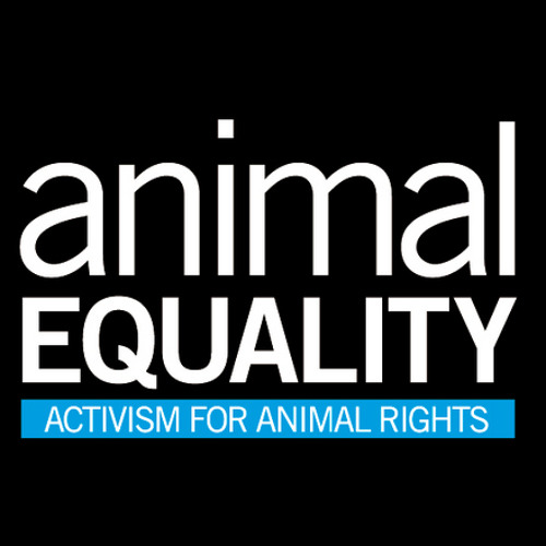 AnimalEqualityUK’s avatar