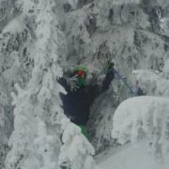 Florian Bicat