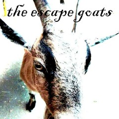 The Escape Goats
