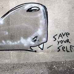 Gorilla Nav