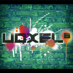 Voxel8