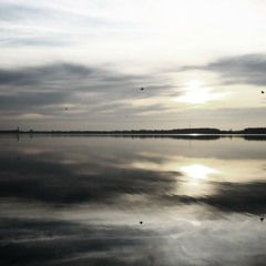 Double-Minded Interface