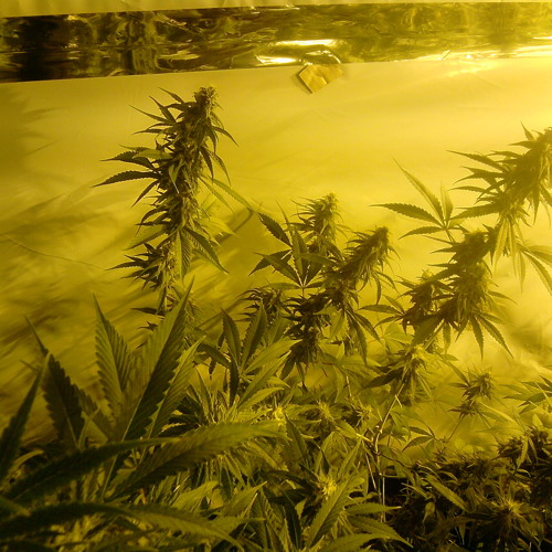 Stream JayDeeGee music Listen to songs, albums, playlists for free