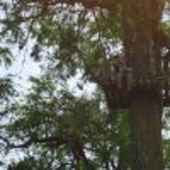 Aldo Maximiliano Mery