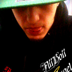 tso_fliiboiiangel