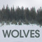 milwaukeewolves