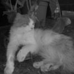 Jato SLine