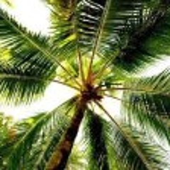 Neilbert Garcia Dimarucot