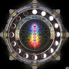 Moontribe Collective