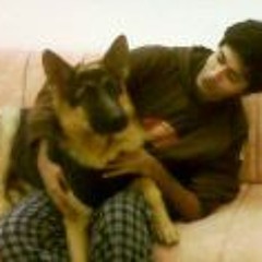 Glitch Mob Favorites