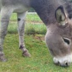 Projekt Tankgemeinschaft