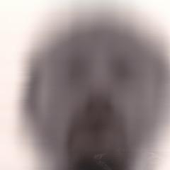 babbapappa