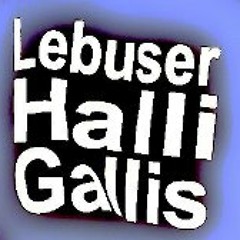 Lebuser HalliGallis