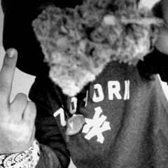 Arnebeats Barracruda