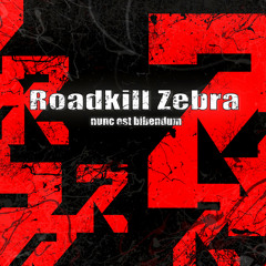 Roadkill Zebra