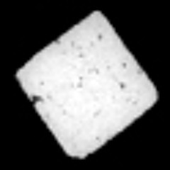 Complex Harmonic Motion