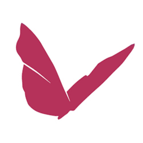 Fly-Chicks, Inc.’s avatar