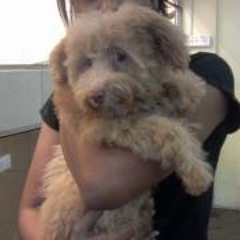 Kanageswari Kumaraveloo