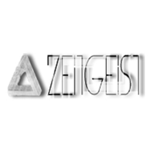 Zeitgeist Schallplatten’s avatar