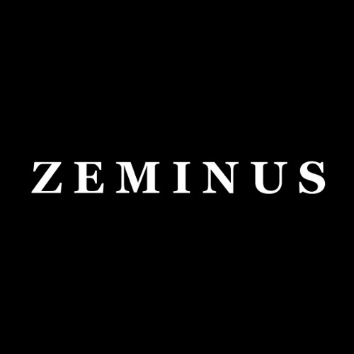 ZEMINUS’s avatar