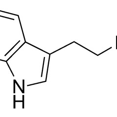 spiltek