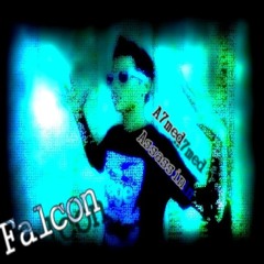 dj.falcon