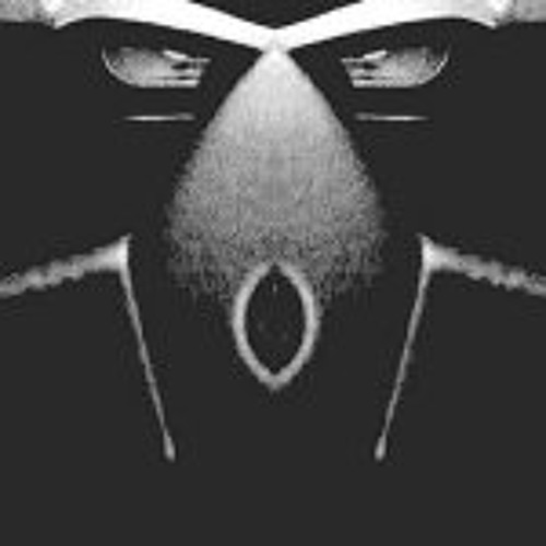 wildhaar’s avatar