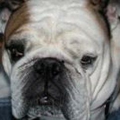 Susan Abrams Greenberg