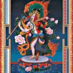 Nitsan Barel