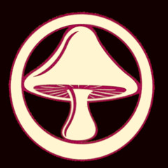 Henry the Albino Squirrel