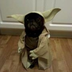 Sam Armstrong Martin