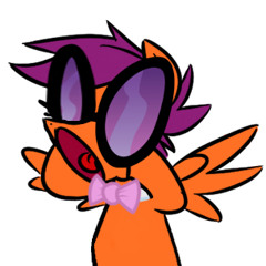 Scootalootacris