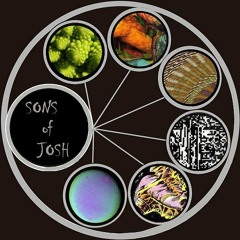 Sons of Josh