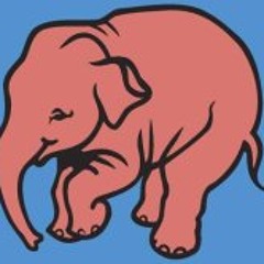 Szilágyi Róza Tekla