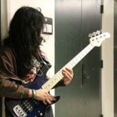 The Reddings - The Awakening (bass cover)