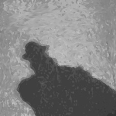 The Shadow Executives